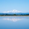 シマ山's profile picture