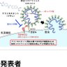 菊本直孝 的头像