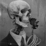 skeleton king 的头像