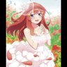 Фото профиля テニスプレイヤー