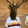 Profilbild von Fred the Stag