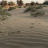 Фото профиля اهلا بالجميع🇸🇦 ماجد
