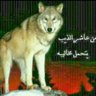 عاشـق البـراري profil fotoğrafı