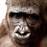 kibounohosi34 profil fotoÄrafı