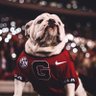 Dawg in Houston 的头像