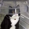 けい 的头像