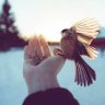Leylatoz profil fotoğrafı