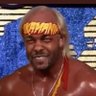 Profilbild von Hulk Lamar