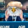 Profilbild von Freedom Eagle 🦅🇺🇦