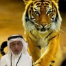 Ibrahim Jeddawi profil fotoğrafı