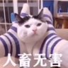 Фото профиля 你好!耳東