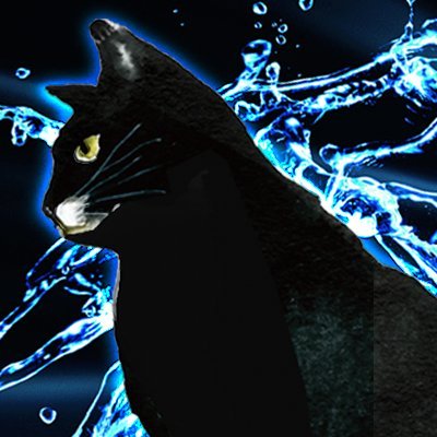 黒猫合唱団事務局's profile picture
