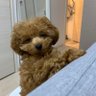 noon 的头像