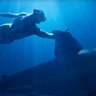 Deep Blue 的头像
