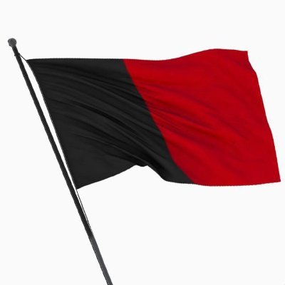 NDM_Official's profile picture