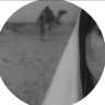 sн. profil fotoğrafı
