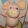 Profilbild von いづみ🐷ぶた太