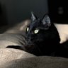 HakunaMatata profil fotoğrafı