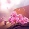 Marwah profil fotoğrafı