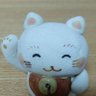 森野どんぐり profil fotoğrafı