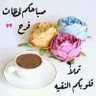 Tarek Ibrahim's profile picture