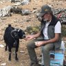 Recai Şenel's profile picture