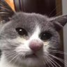 Profilbild von George George