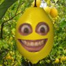 KsinoLemoni 的头像