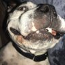 kelly's profile picture