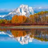 Wyoming Iliad 的头像