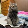 ジョージ 的头像