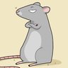 Rat Pack's profile picture