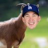 Profilbild von BUEHLER COMEBACK SEASON