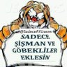Profilbild von ✩ ♛ Sadece Şişman Tombul Ayı gibi Adam Severim ♛ ✩