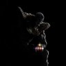 Tibo's profile picture