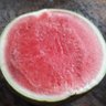 Daichitwo's profile picture