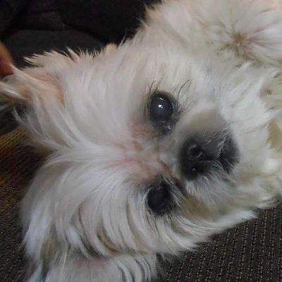 Uki877's profile picture