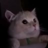 Aeki's profile picture