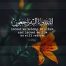 Fajer's profile picture