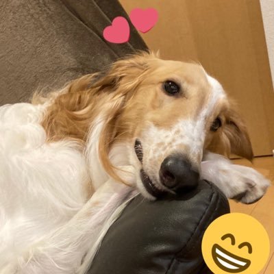 Roen0322's profile picture