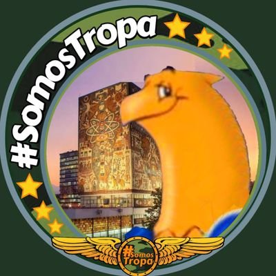 José Manuel Padron's profile picture