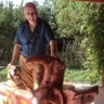 Jim Pettman profil fotoğrafı