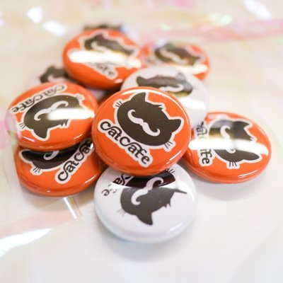 猫カフェmfmf/横浜駅's profile picture