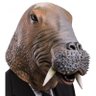 Caustrico's profile picture