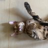 Фото профиля milo