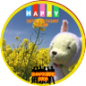 KURUTO🗝new(s)mapの次へ's profile picture