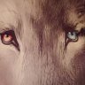 John gardner🐺🐺🐺🐺🐺💪💯's profile picture