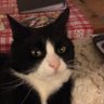 mary's profile picture