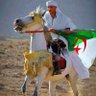 hamza_guerroub's profile picture