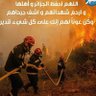 Moncef Moncef 的头像